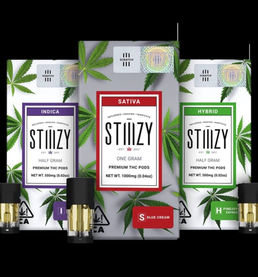 photo_2025-04-29_17-58-38