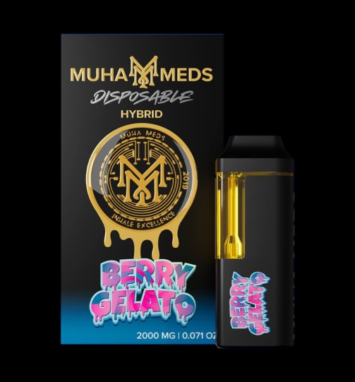 photo_4_2025-05-06_03-29-09